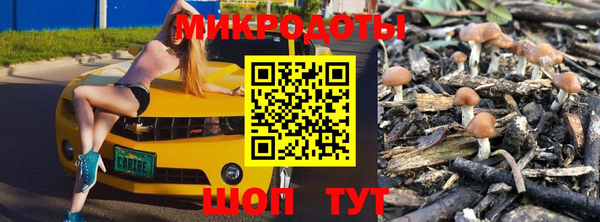 Псилоцибиновые грибы прущие грибы  Псилоцибиновые грибы MAGIC MUSHROOMS  Зеленогорск  Вход с VPN 